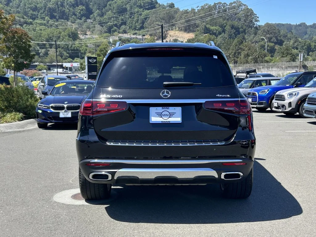 2025 Mercedes-Benz GLS Base - Photo 4