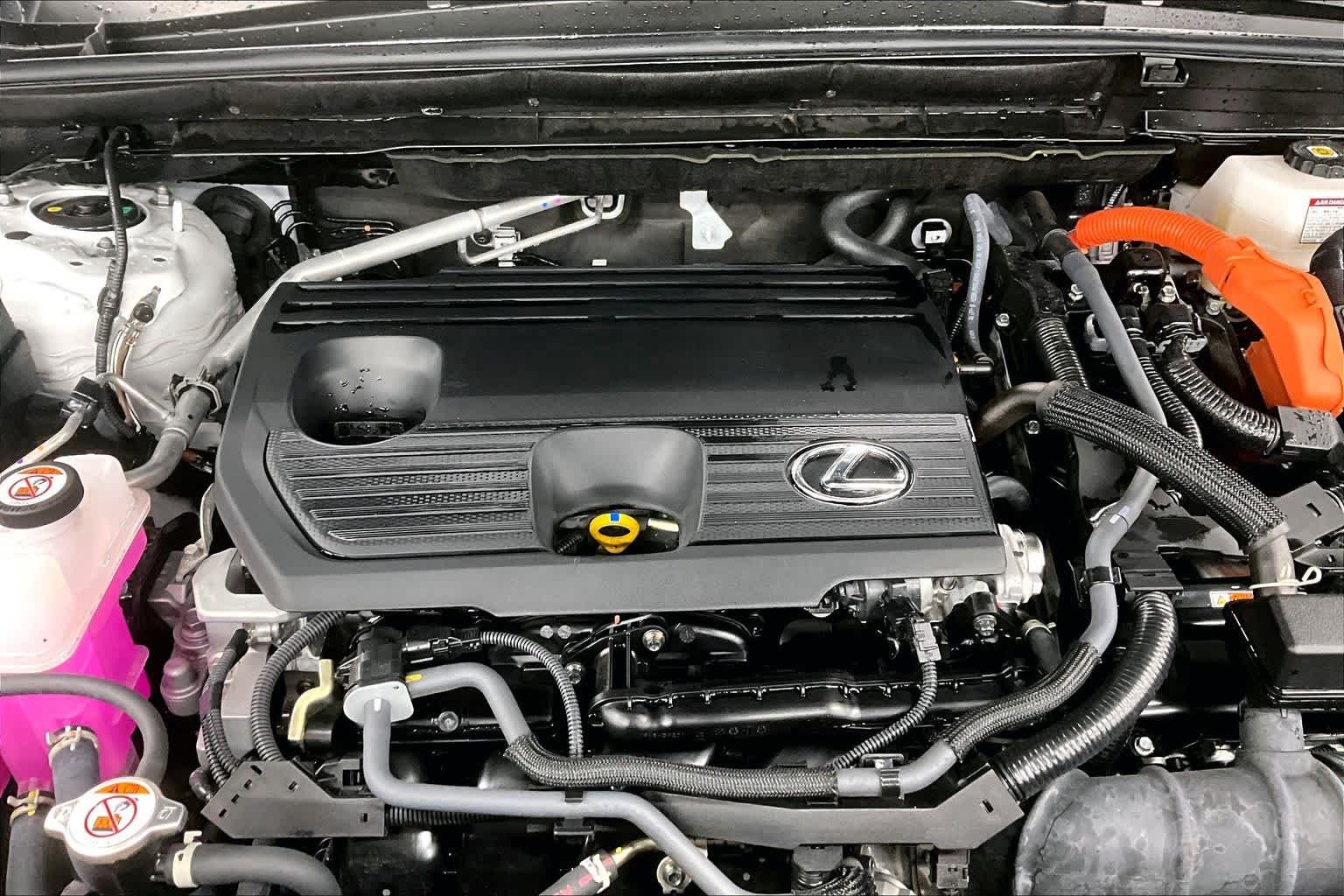 2025 Lexus NX Hybrid 350h - Photo 31