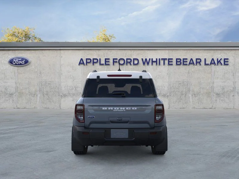 New 2025 Gray Ford Heritage image 5