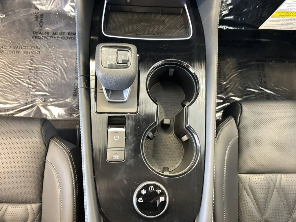New 2025 Super Black Nissan Platinum image 19