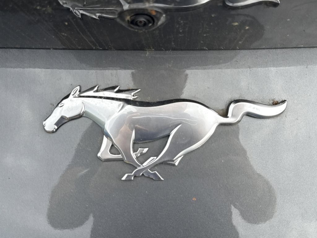 New 2026 Carbonized Gray Metallic Ford EcoBoost® Fastback image 24