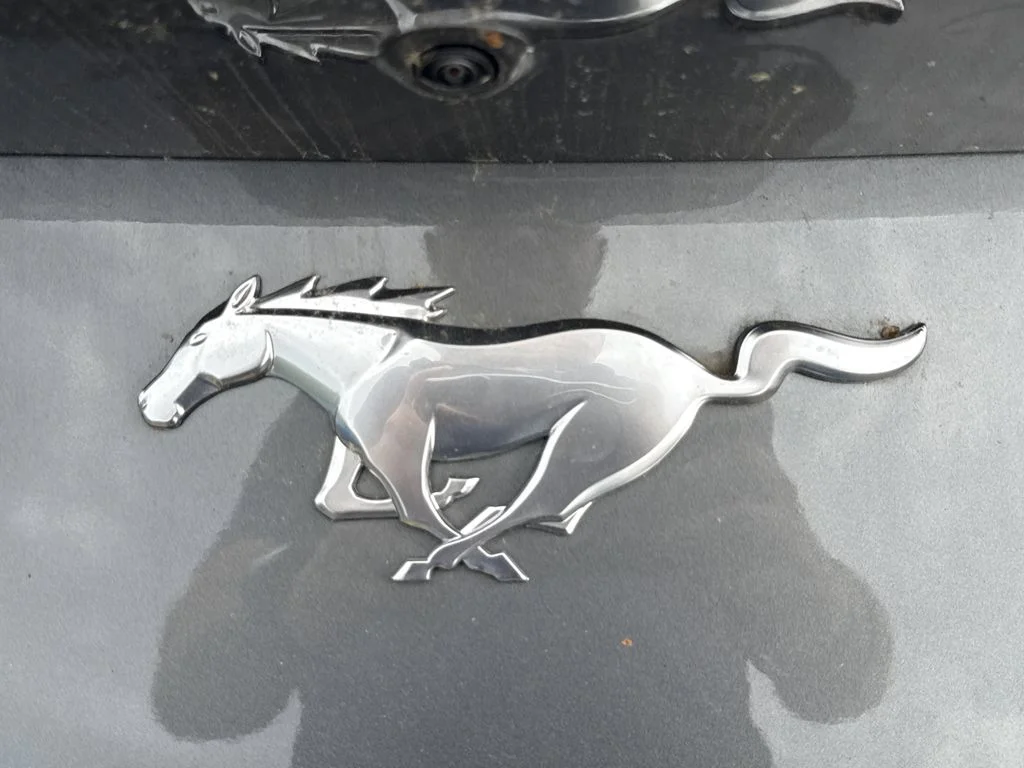 New 2026 Gray Ford EcoBoost image 24