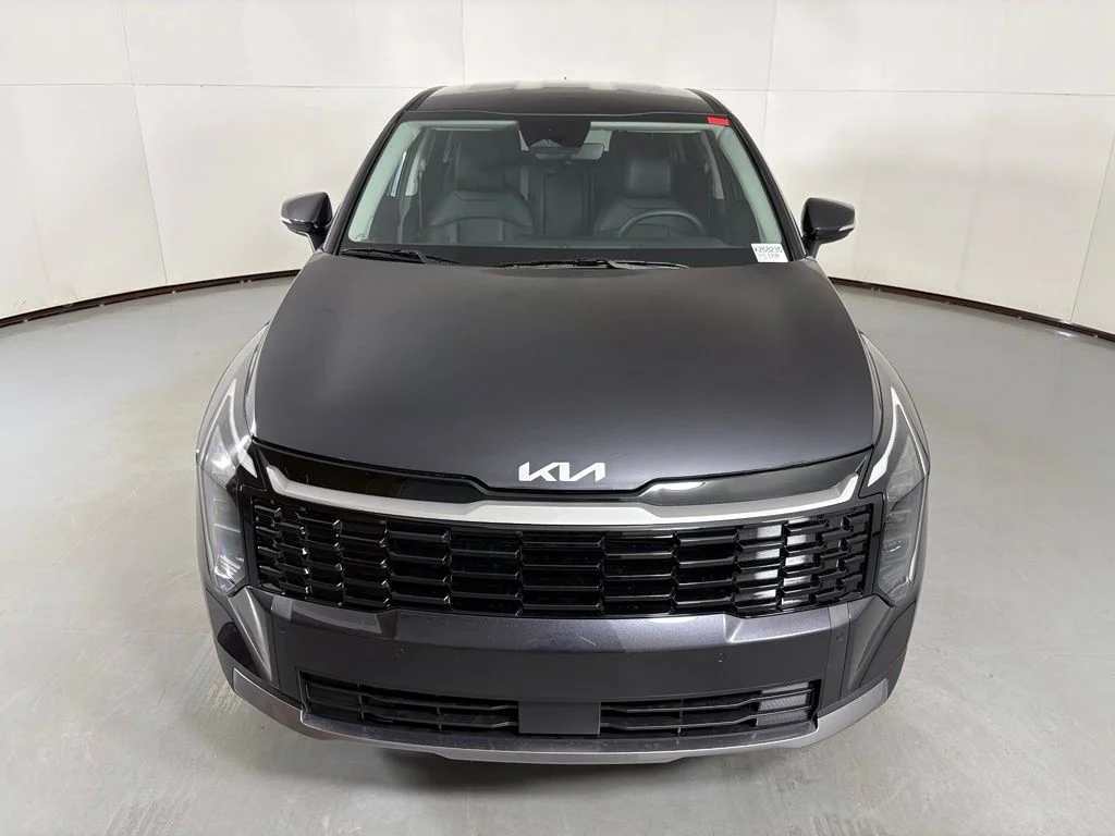 New 2026 Panthera Metal Kia EX image 3