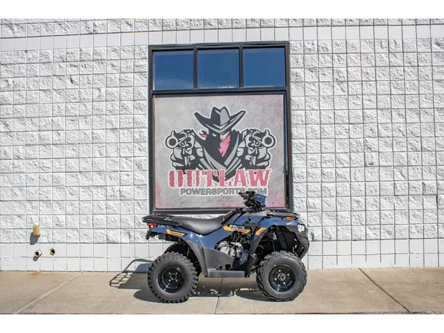 2026 Kawasaki Brute Force 300 