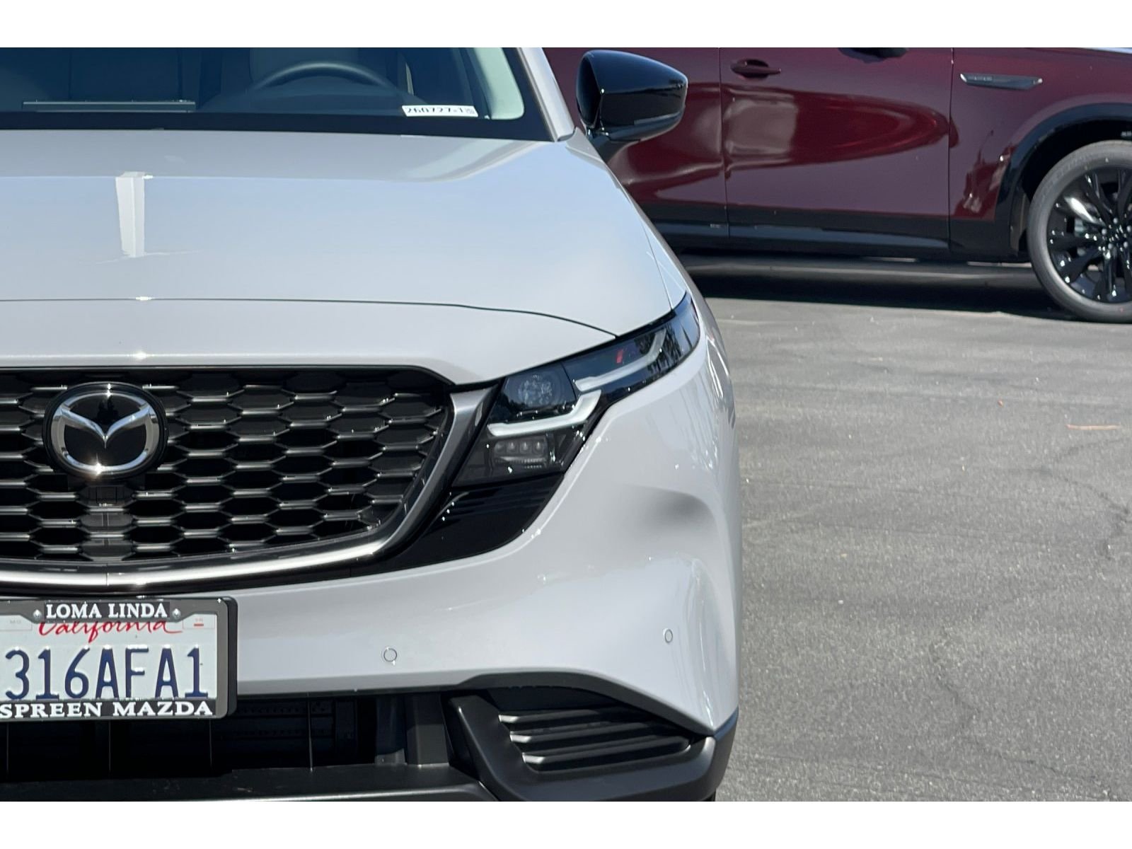 Photo 51