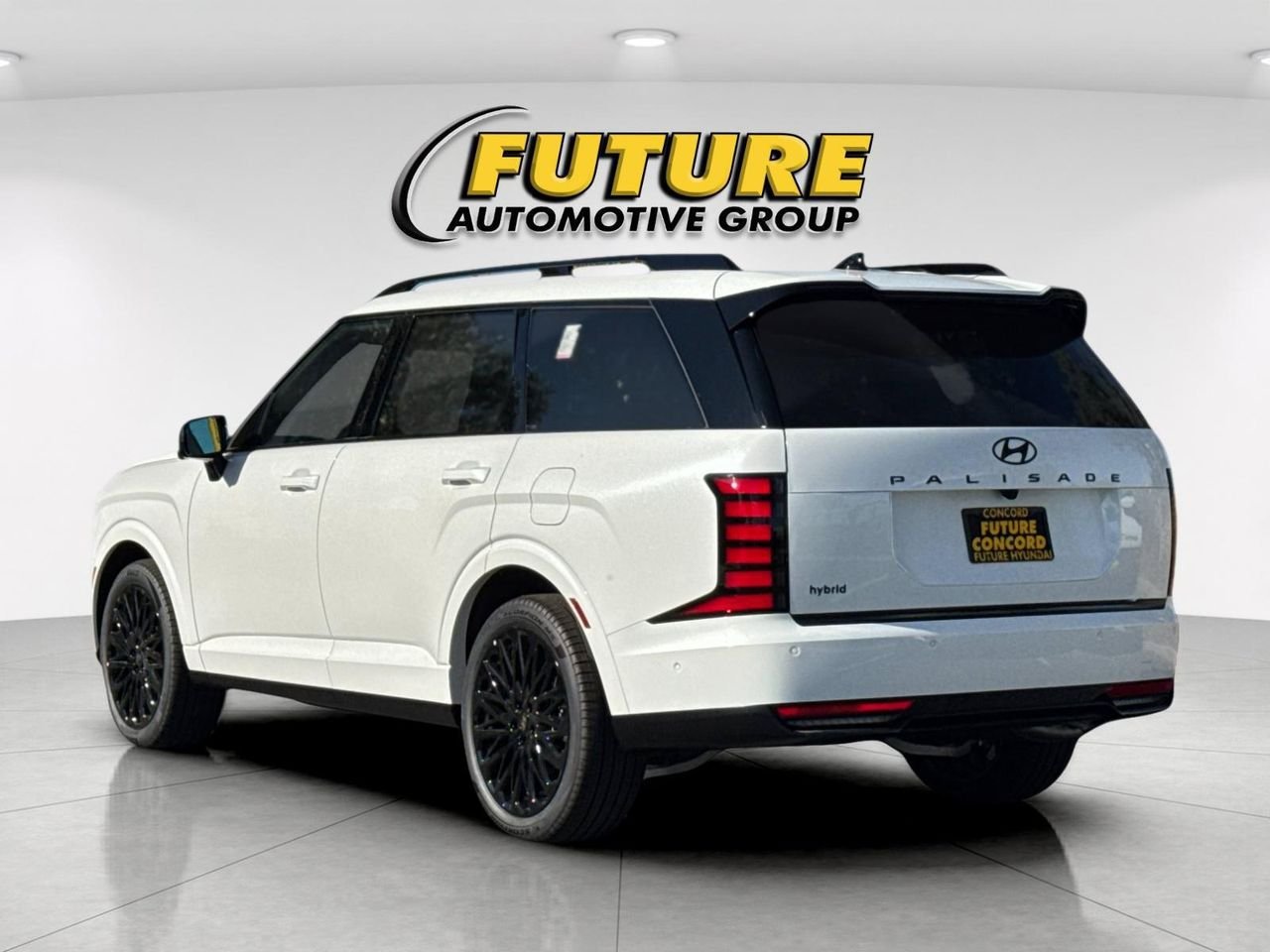 New 2027 White Hyundai Calligraphy Black Ink image 5