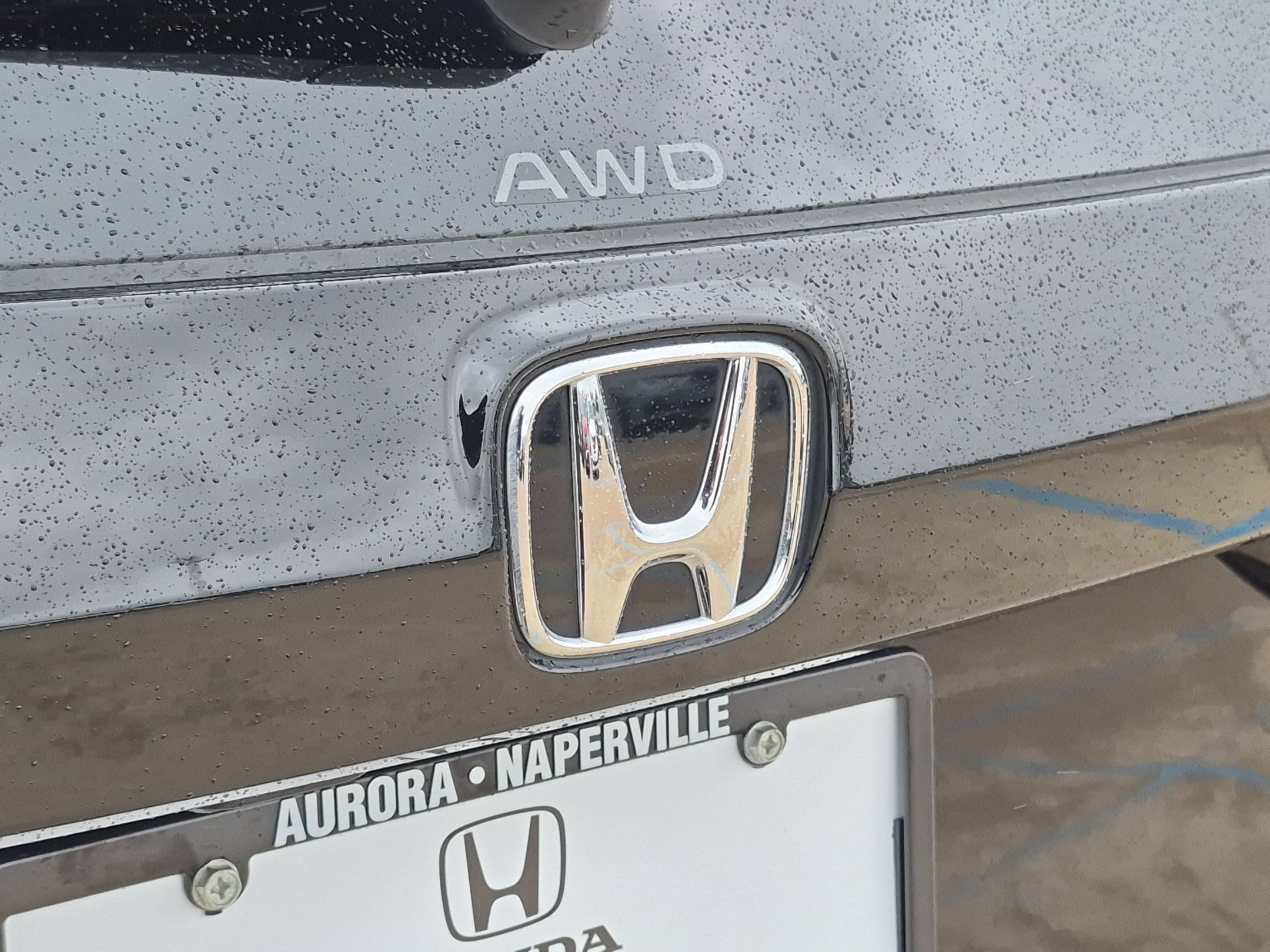 Certified Used 2024 Black Honda Sport-L image 28