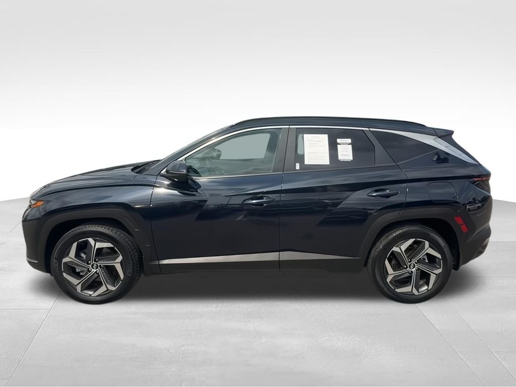 Used 2024 Blue Hyundai SEL Convenience image 6