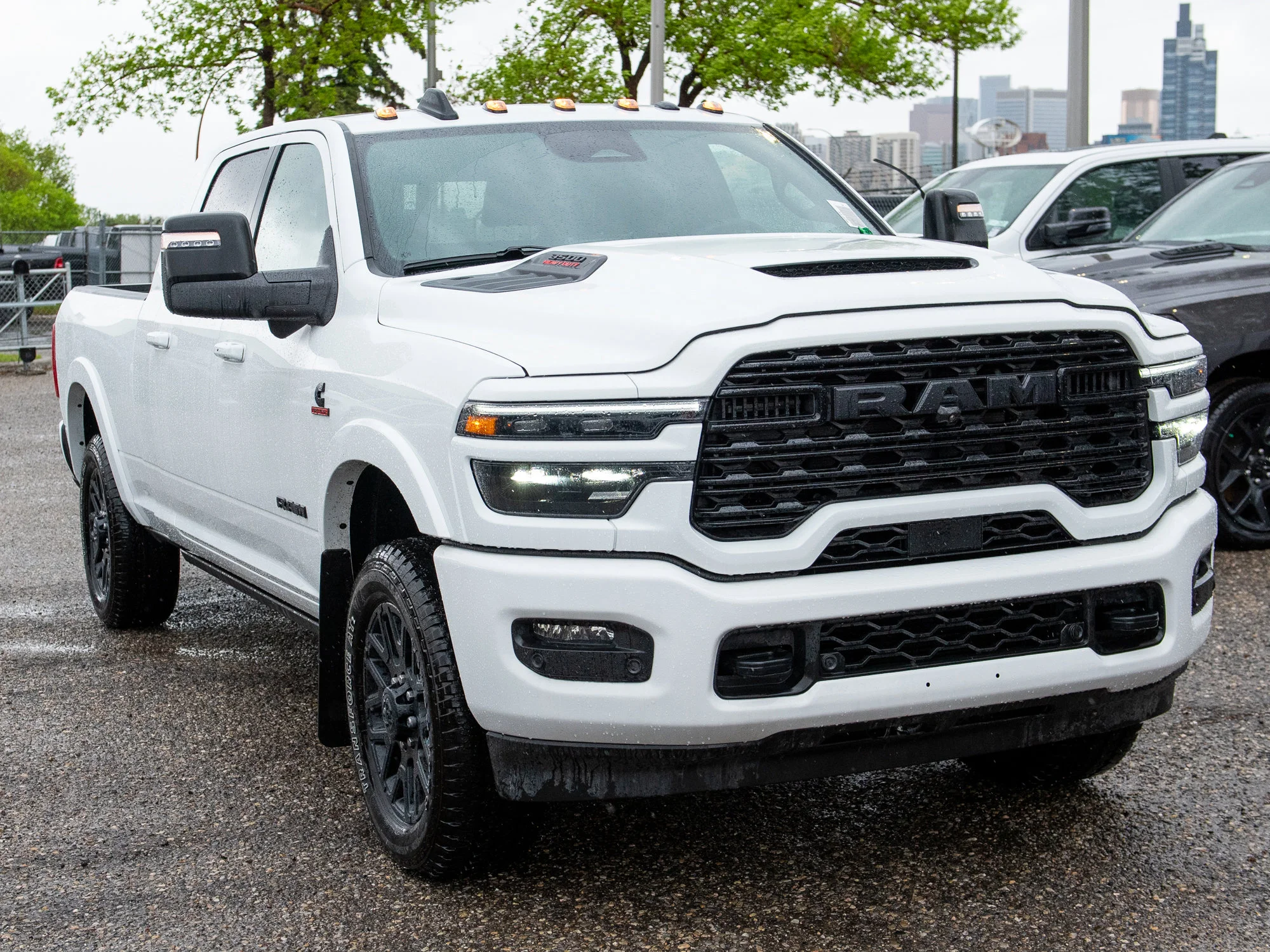 New 2026 White RAM Limited* image 8