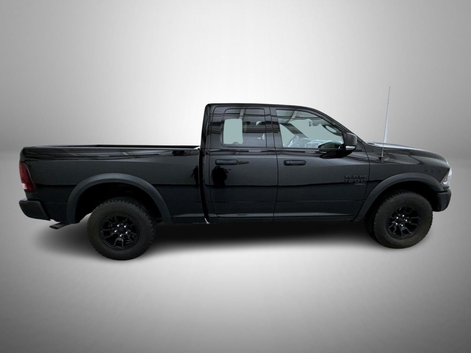 Used 2023 Black Ram Warlock image 4
