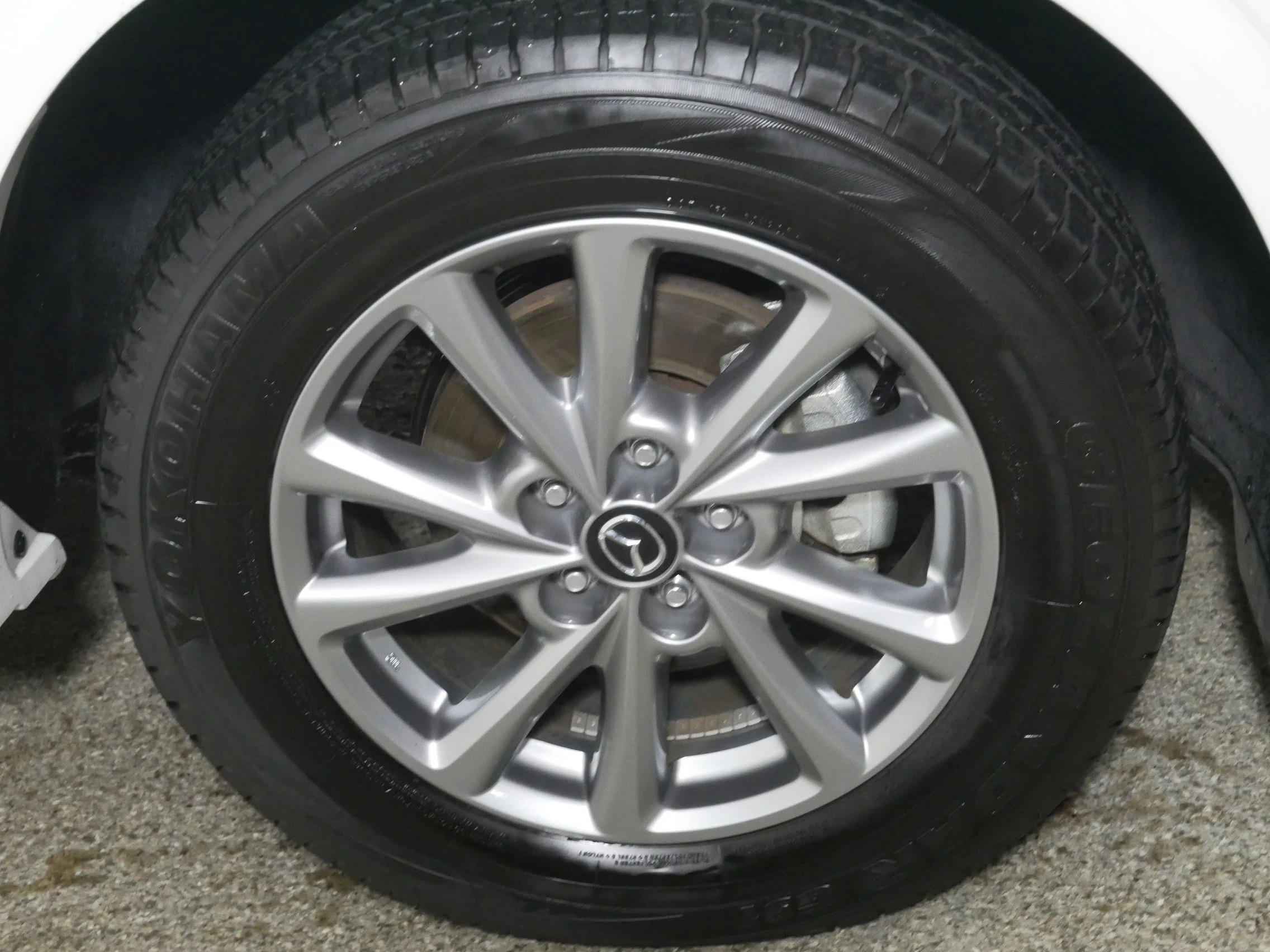 Photo 15