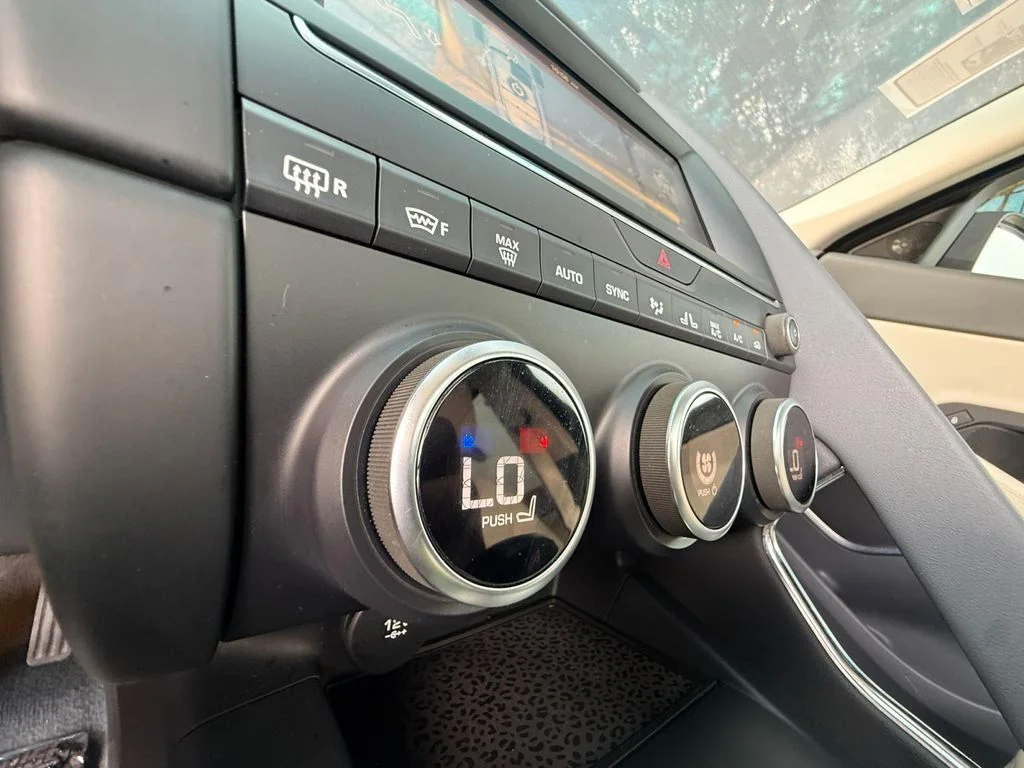 Used 2019 White Jaguar S image 16