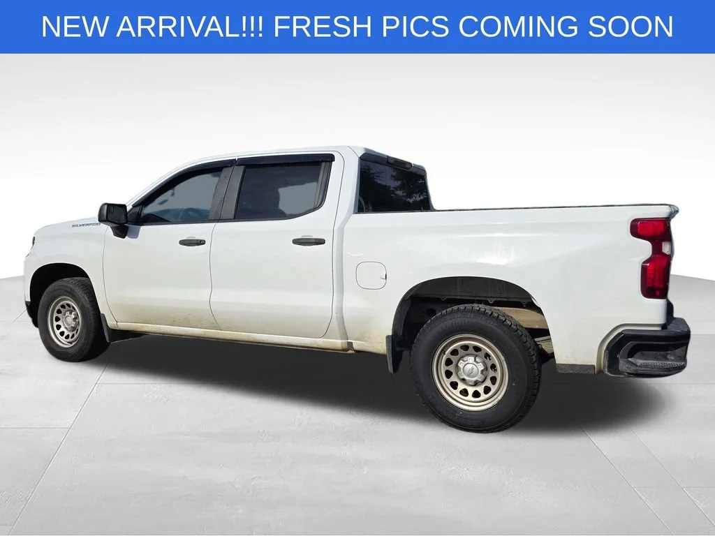 Used 2019 SUMMIT WHITE Chevrolet Work Truck image 4