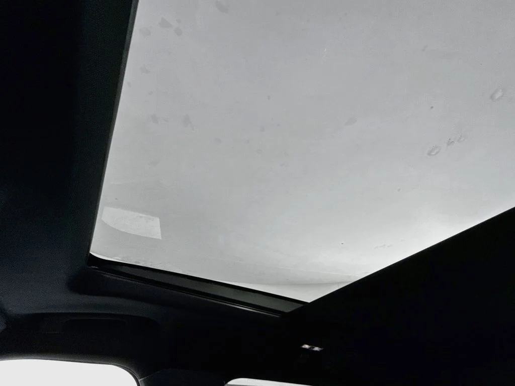 New 2026 Agate Black Metallic Ford ST image 23