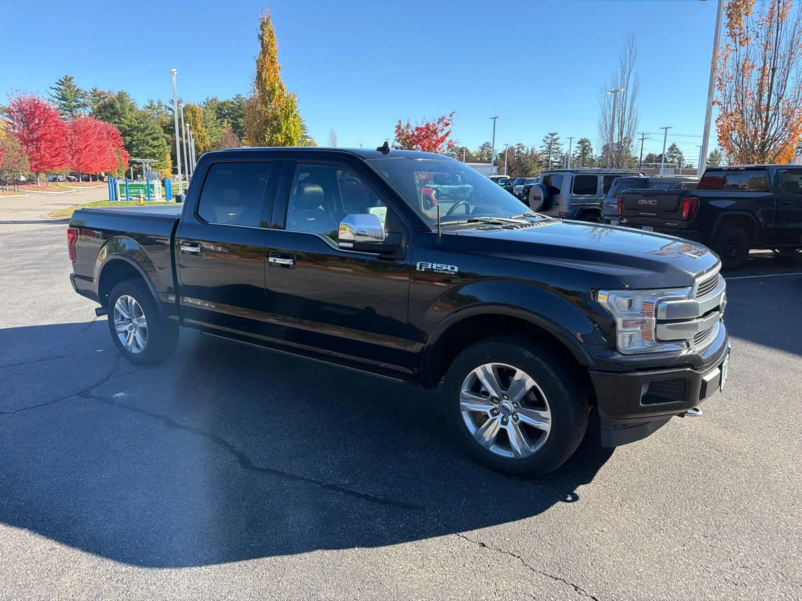 Used 2019 Agate Black Ford Platinum image 3