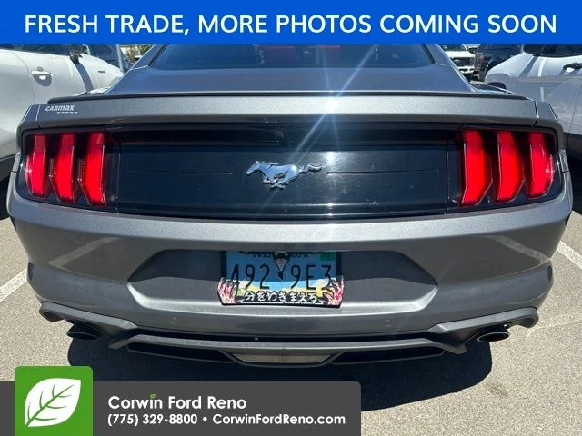 Used 2023 Gray Ford EcoBoost Premium image 5
