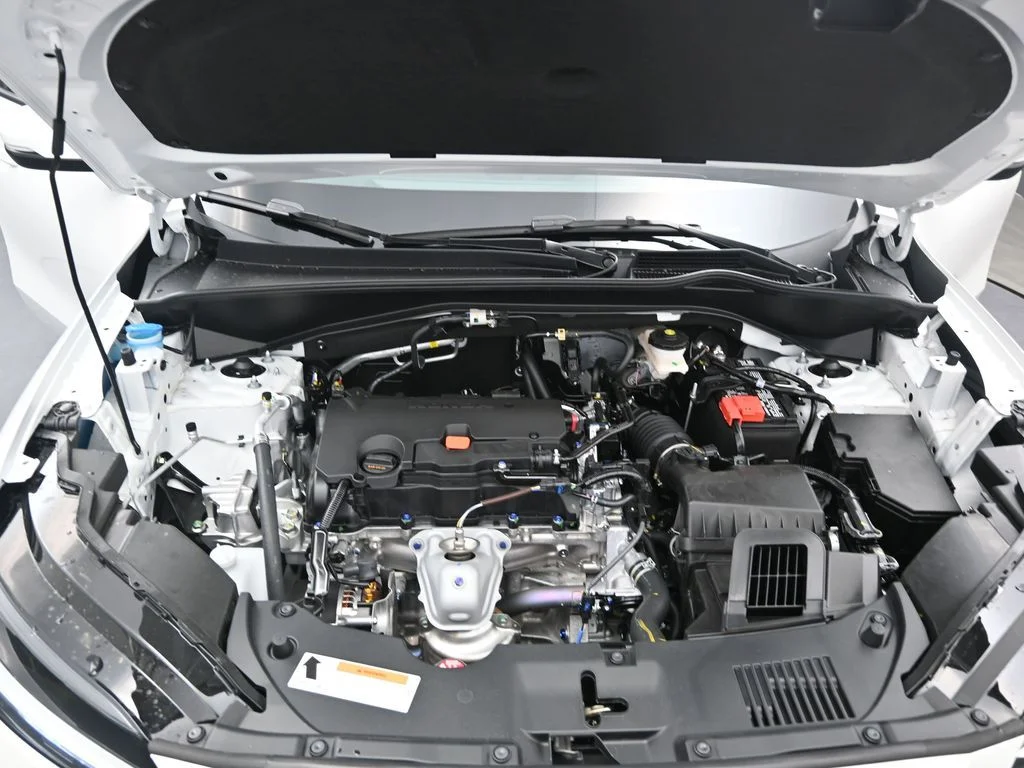 New 2026 Platinum White Pearl Honda LX image 10