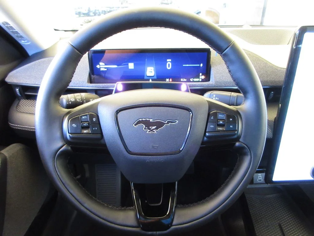 New 2026 Shadow Black Ford Premium image 14