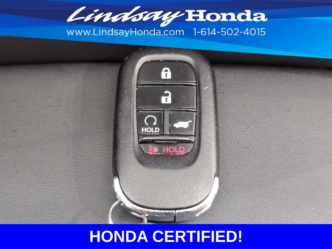 Certified Used 2025 Milano Red Honda Sport image 24