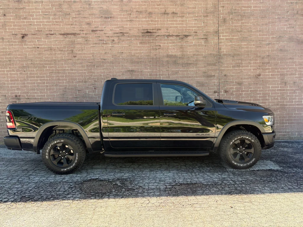 Used 2023 Black Ram Rebel image 6