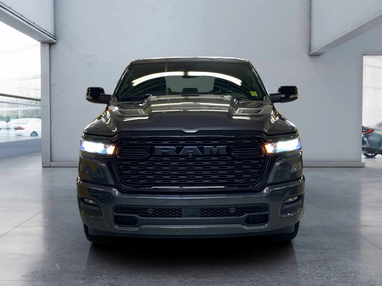 New 2026 Granite Crystal Metallic Ram Sport image 8