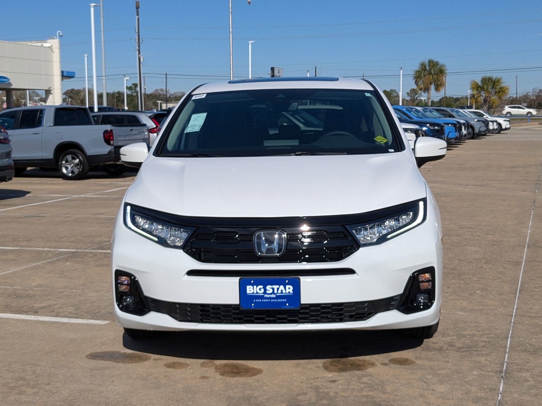 New 2027 Platinum White Pearl Honda Elite image 9