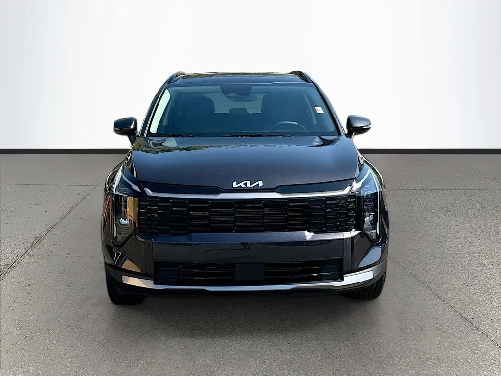 New 2026 Panthera Metal Kia EX image 2