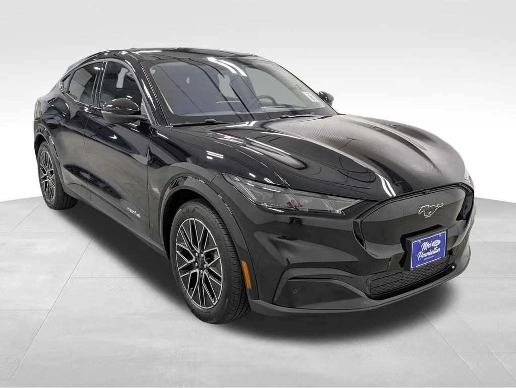 New 2026 Shadow Black Ford Premium image 19