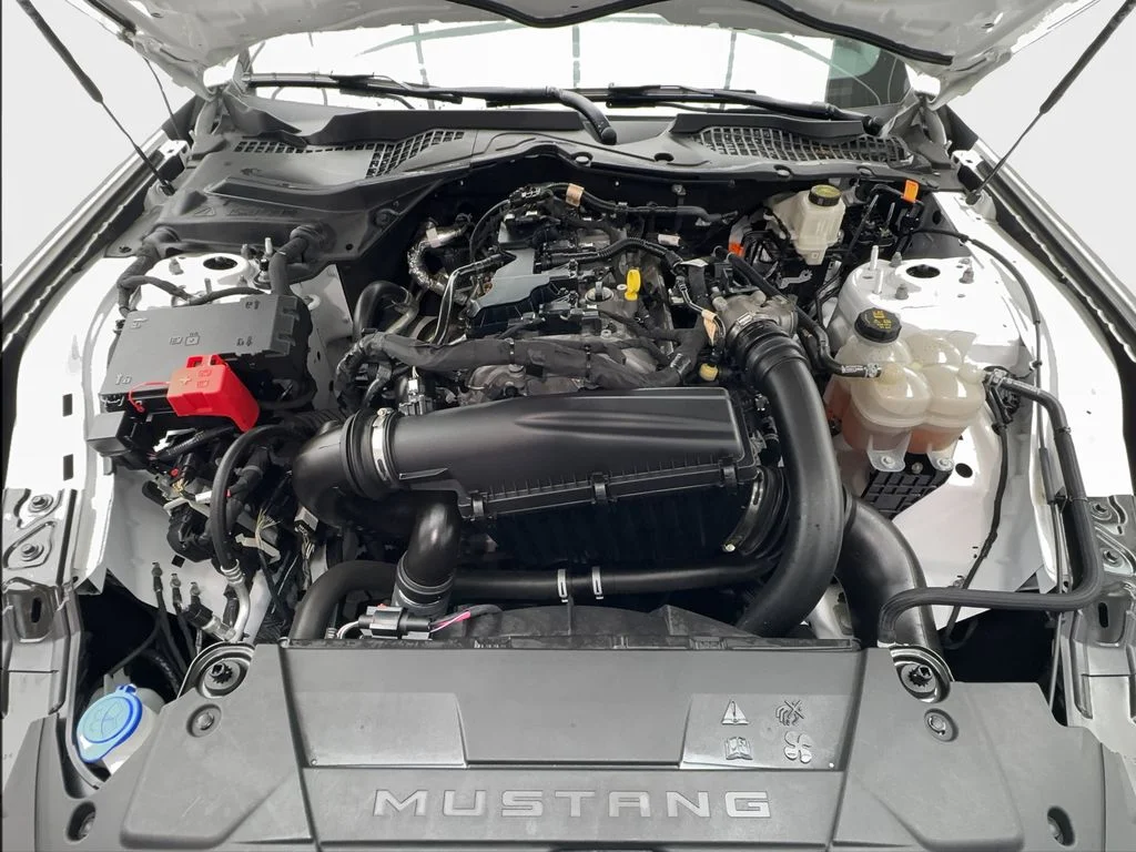 Used 2024 White Ford EcoBoost Premium image 17