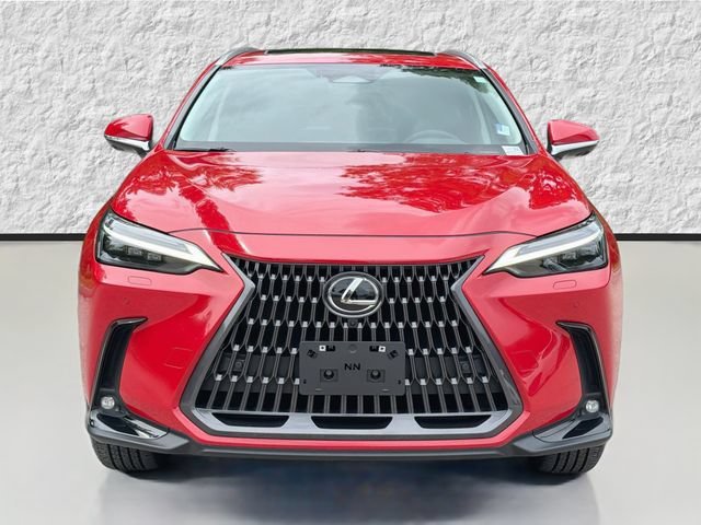 Used 2025 Red Line Lexus NX 350 Luxury image 8