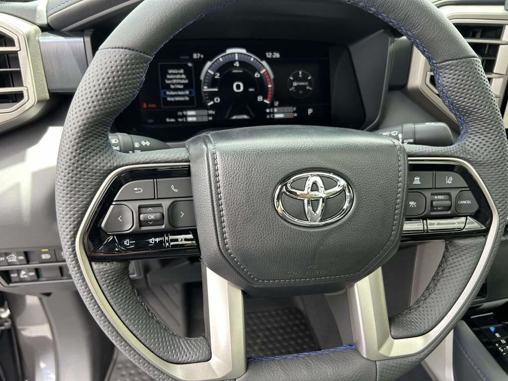 New 2026 Magnetic Gray Metallic Toyota Platinum image 21