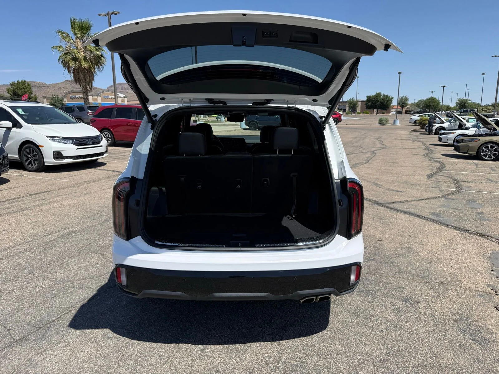 2025 Kia Telluride SX Prestige X-Line - Photo 46
