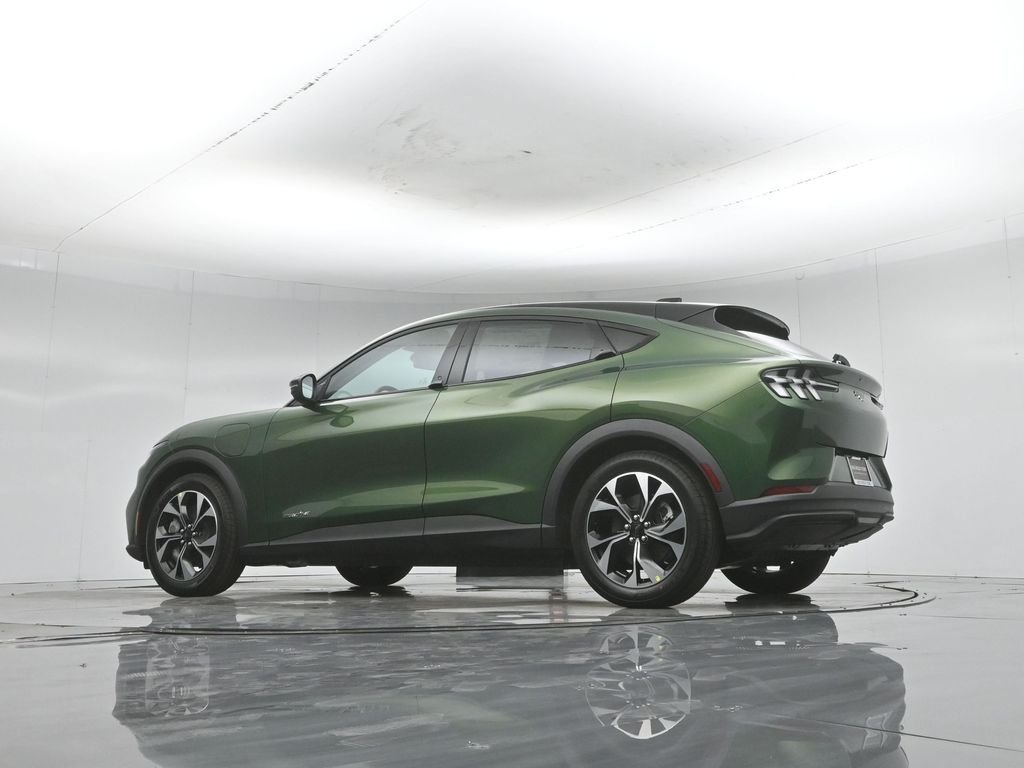 New 2026 Eruption Green Metallic Ford Select image 48