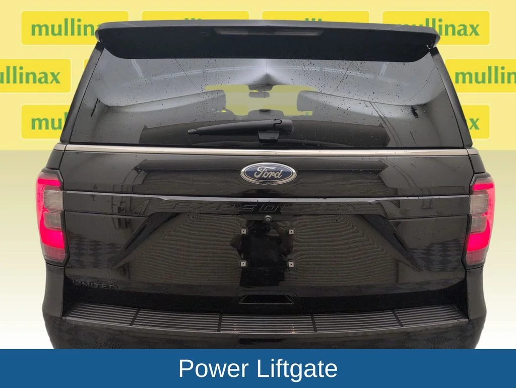 Used 2019 Black Ford Limited image 31