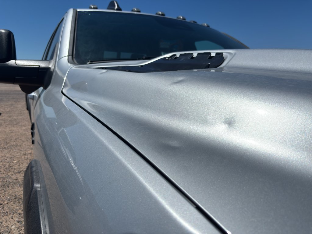 New 2026 Silver-Zynith Exterior Paint RAM Rebel image 33