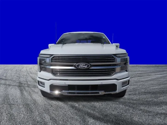 New 2026 White Ford Platinum image 9