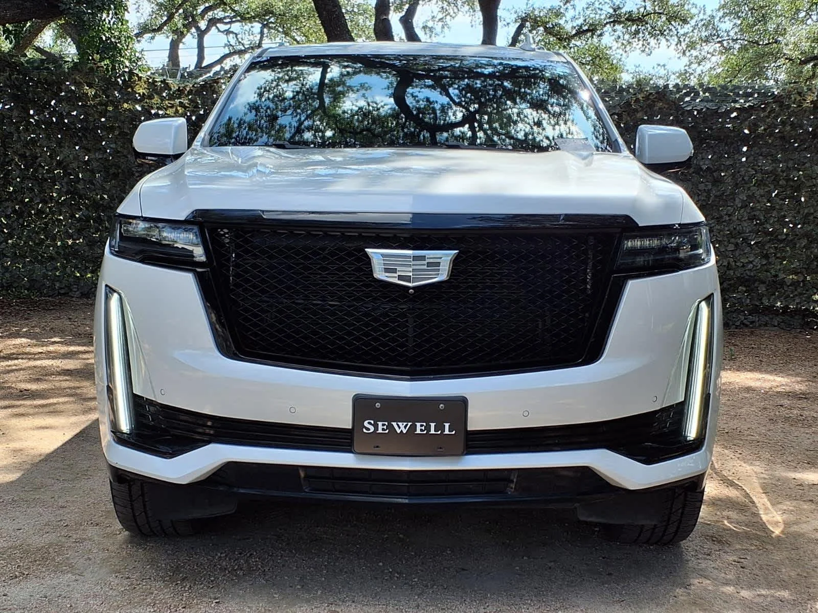 Used 2021 CRYSTAL WHITE TRICOAT Cadillac Sport image 2