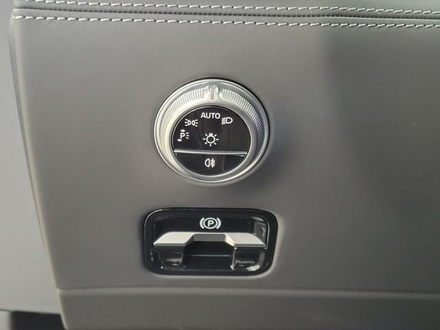 2025 Mercedes-Benz AMG GT Coupe 55 - Photo 20