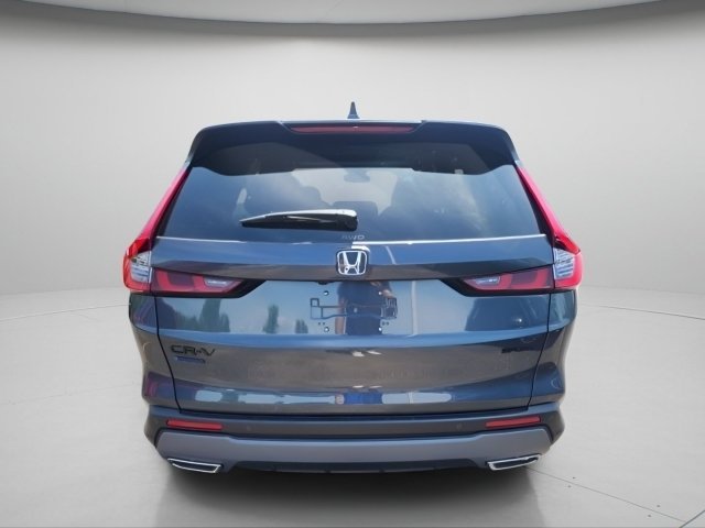 New 2026 Meteorite Gray Metallic Honda Sport-L image 6