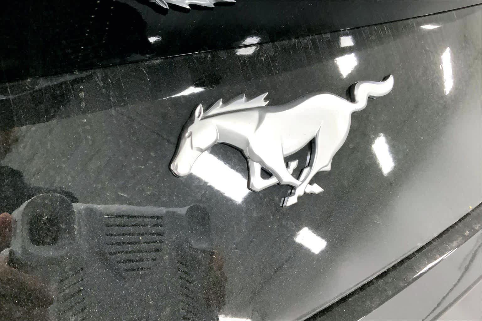 New 2026 Shadow Black Ford EcoBoost® Fastback image 12