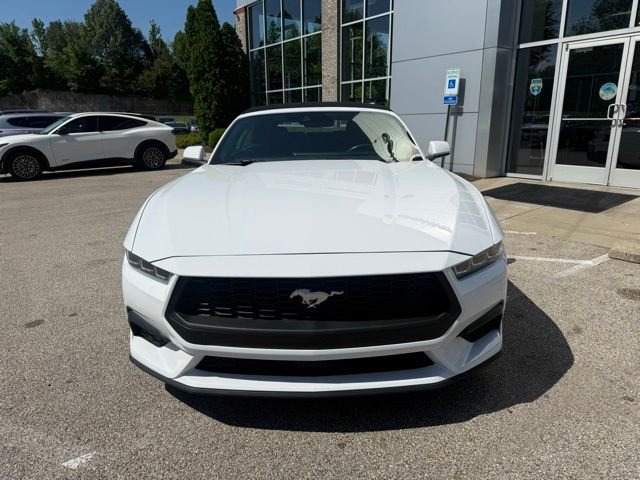 Used 2024 White Ford EcoBoost Premium image 9