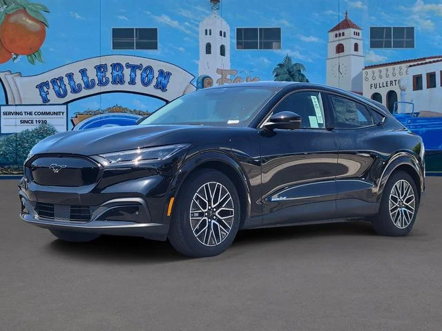 New 2026 Shadow Black Ford Premium image 4