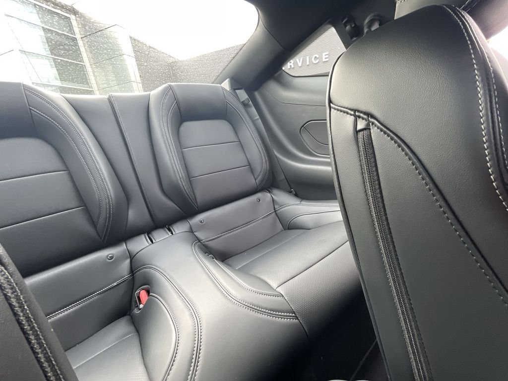 2026 Ford Mustang EcoBoost Premium Fastback - Photo 12