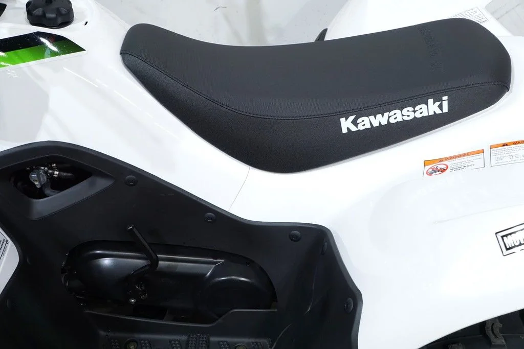 New 2026 BRITE WHITE Kawasaki 90 image 7