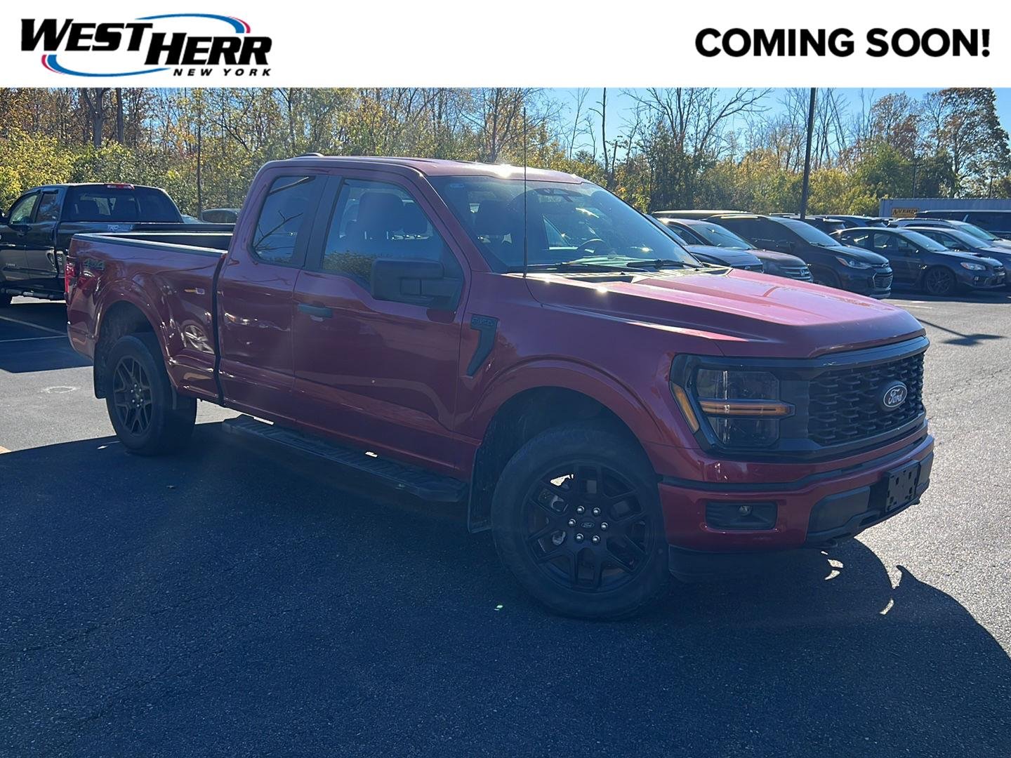 Used 2024 Rapid Red Metallic Tinted Clearcoat Ford STX image 1