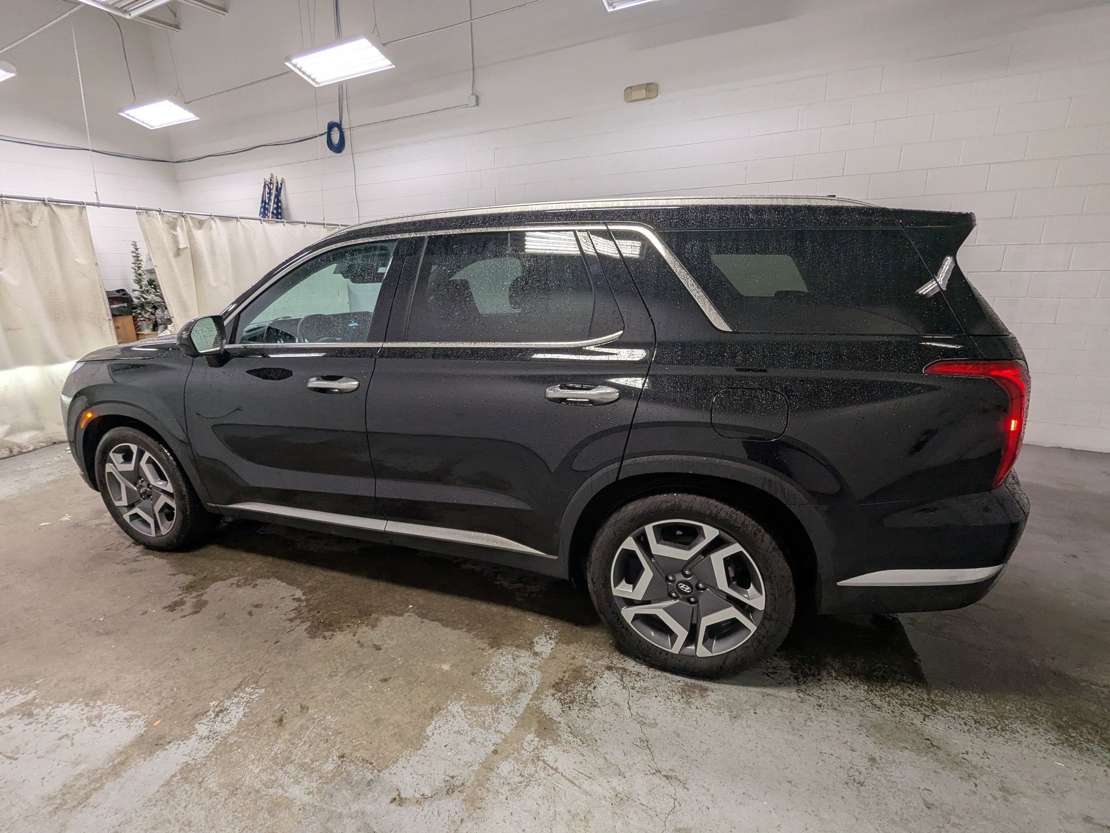 2025 Hyundai Palisade Limited - Photo 8