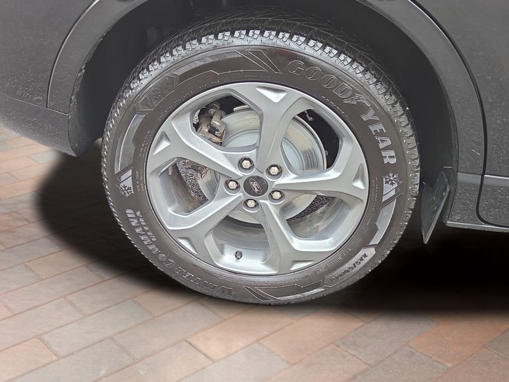 Photo 4