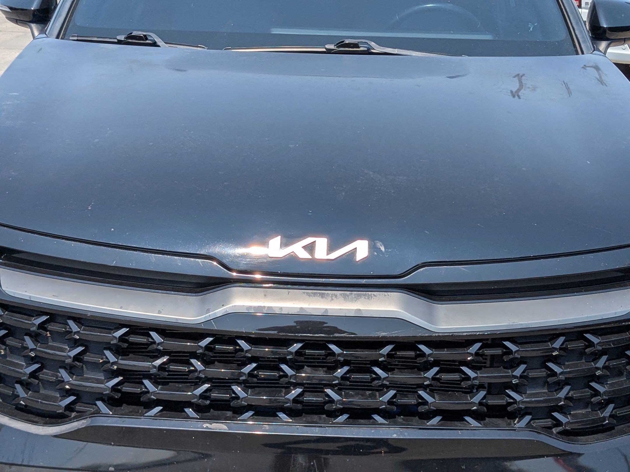 Used 2023 Ebony Black Kia X-Line image 10