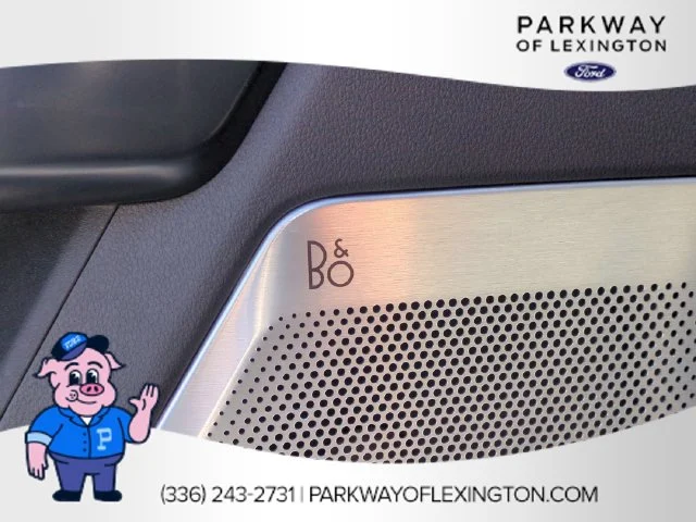 Used 2024 White Ford Platinum image 14