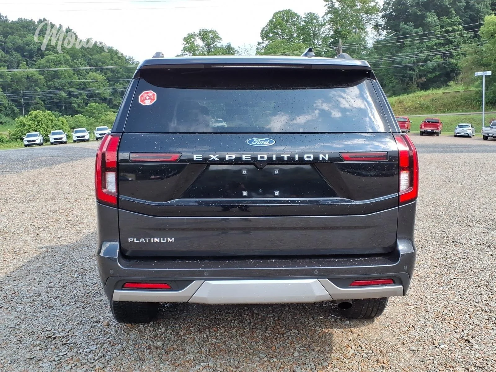 Used 2025 Dark Matter Gray Ford Platinum image 7
